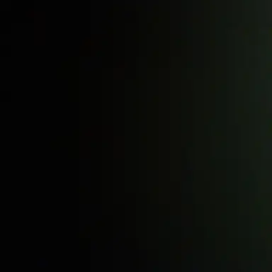 Profile image of 채스터