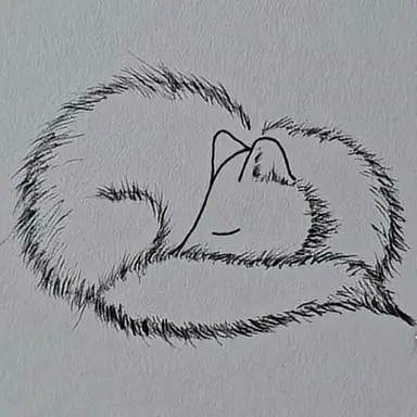 Profile image of 여우