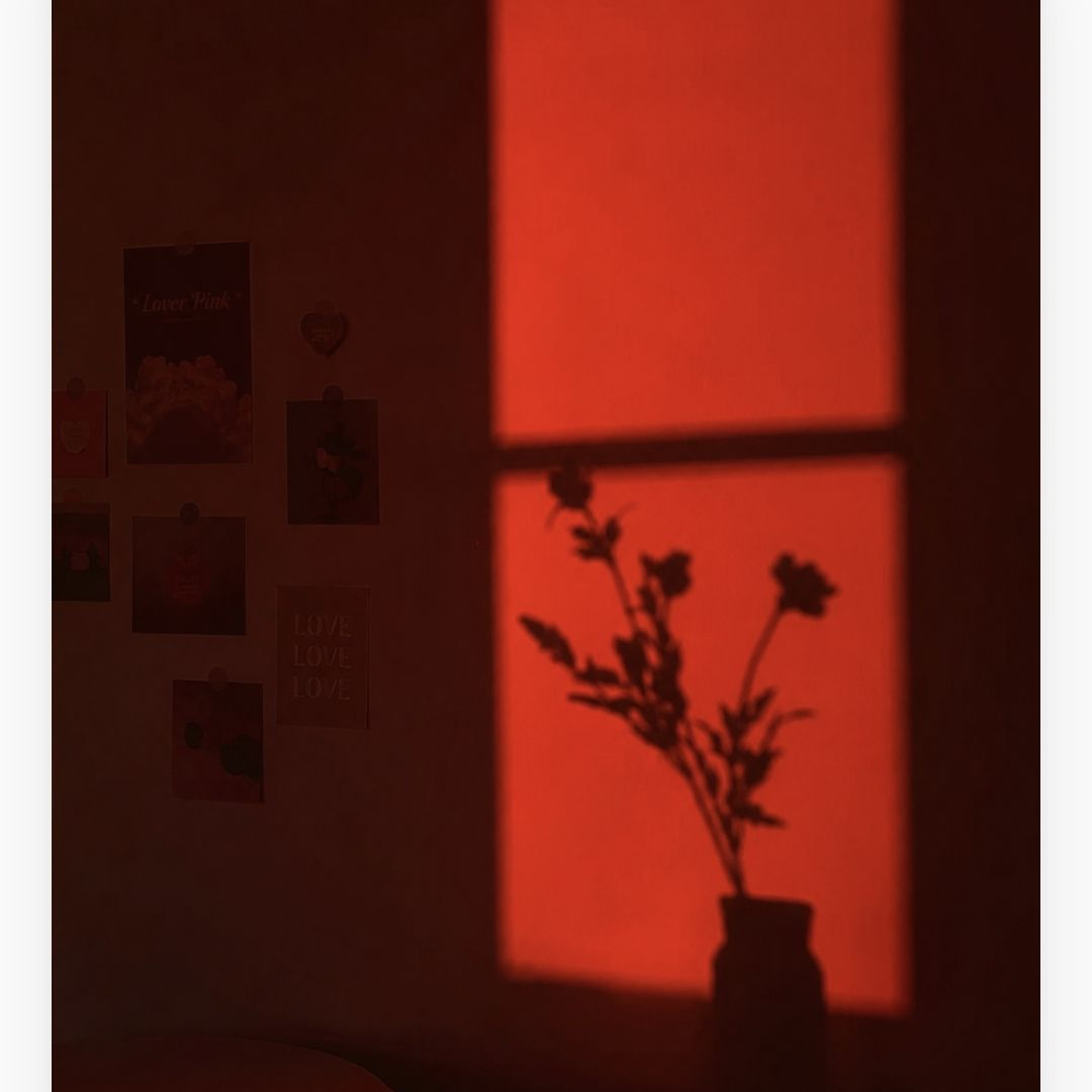 복수의 끝 대표 이미지