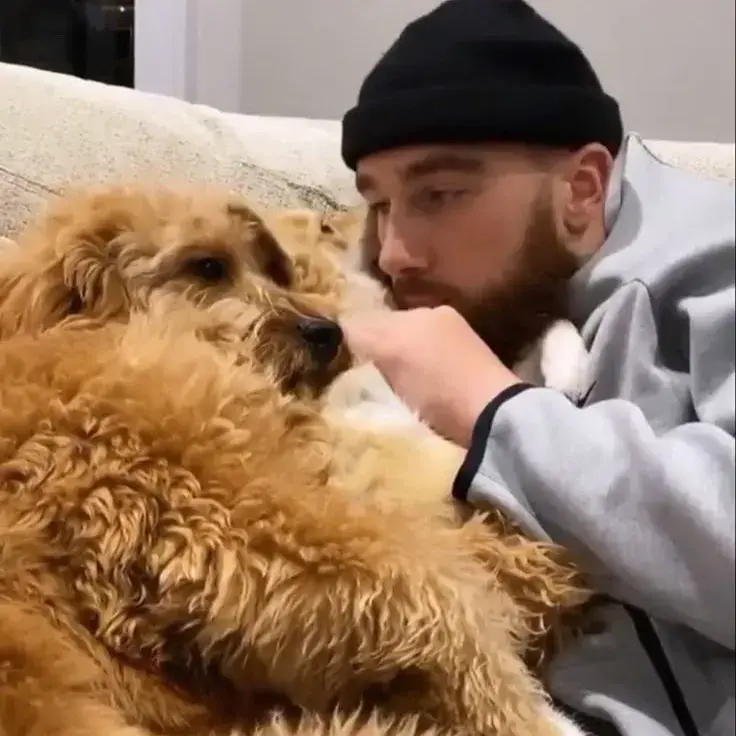 BruteFob5623의 Travis Kelce