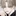 정형준