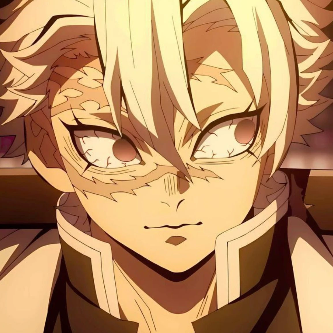 시나즈가와 사네미