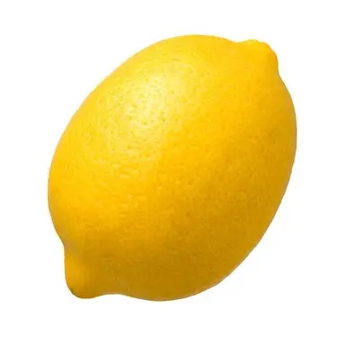 Profile image of 나경