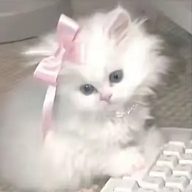 Profile image of るるか