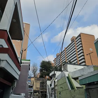 Profile image of 잠뜰