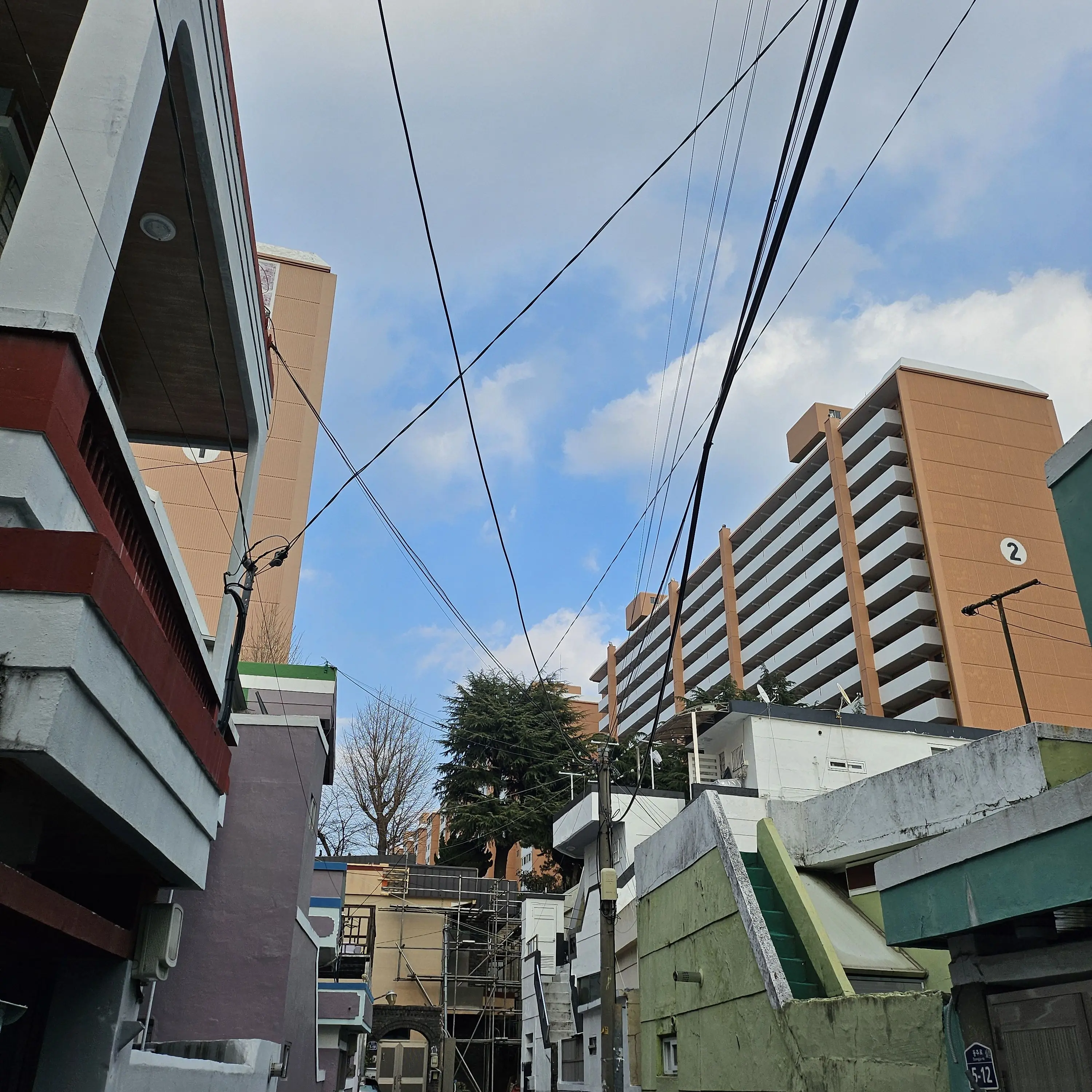 jiyul00127의 막내..? 이게마자?