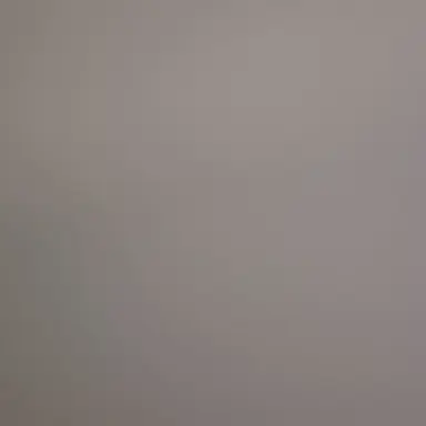 Profile image of 쉐도우밀크