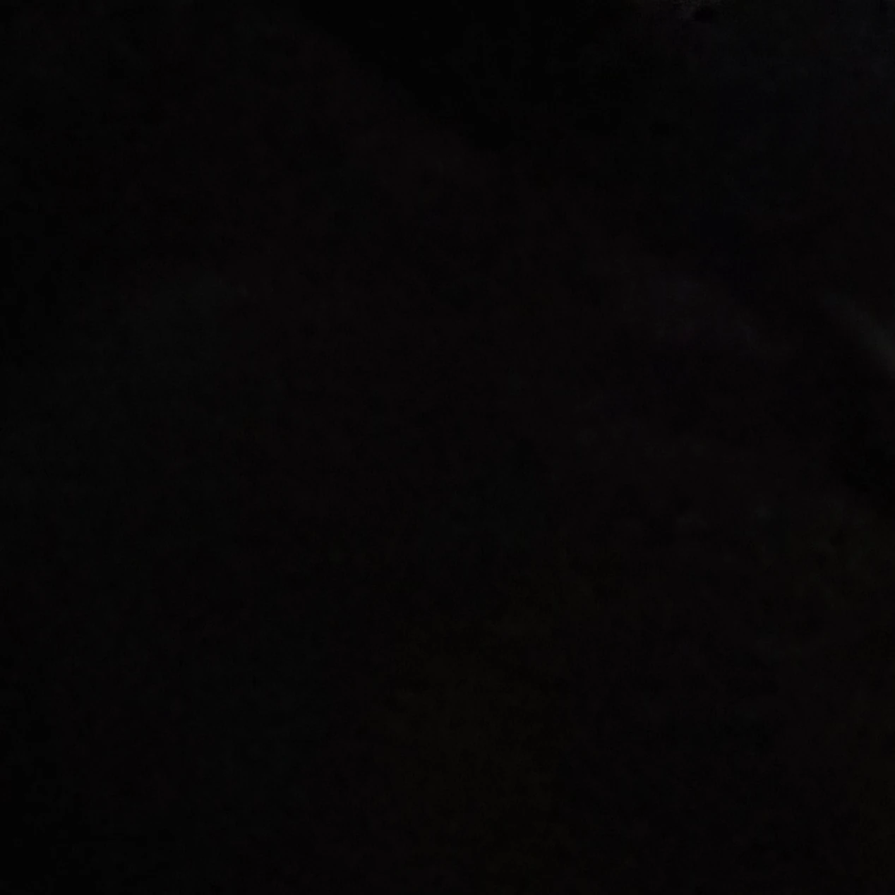 윤도현
