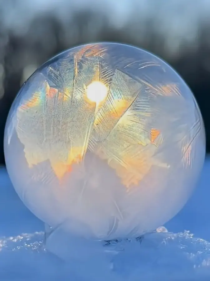 42_mk의 유튜버들 좀비학교