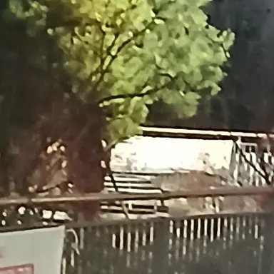 Profile image of 남자 수감자 인격들