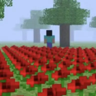 Profile image of No_one