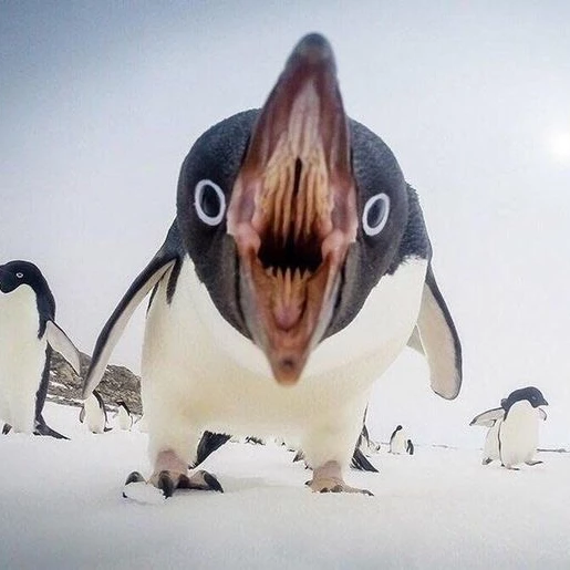 류정재