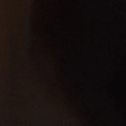 理春
