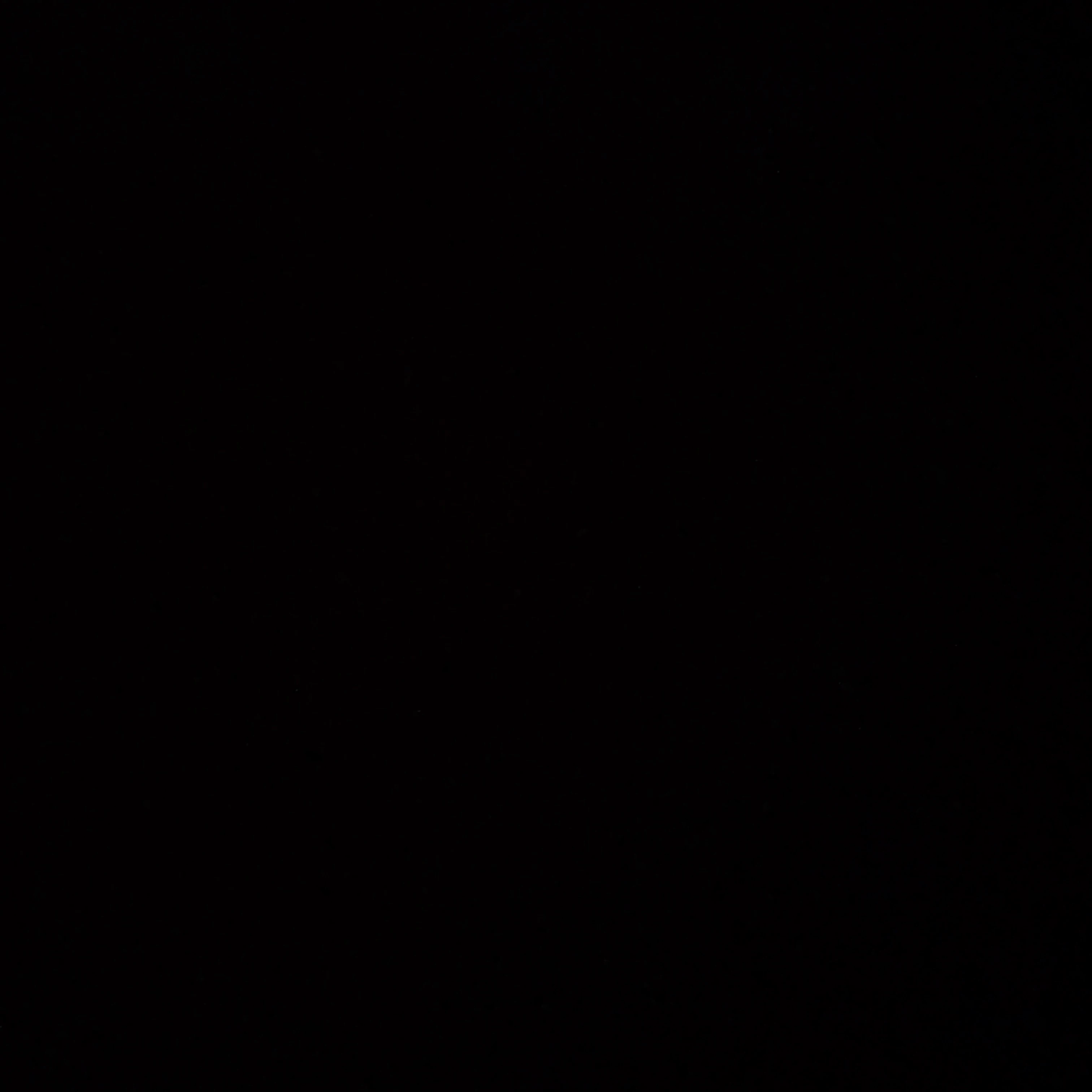 김 민 정