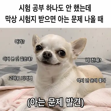 Profile image of 김리아
