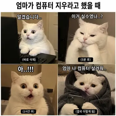 Profile image of 김리아
