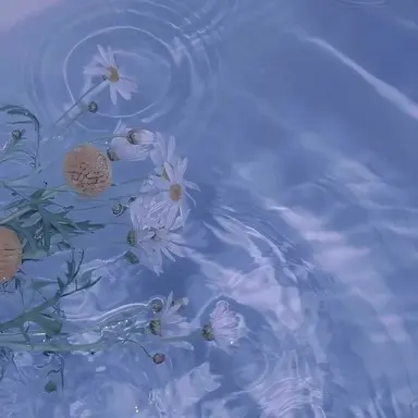 Profile image of 박잠뜰