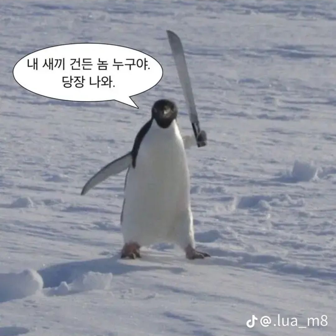 잉여맨가족 납치사건 유저가 납치 당함 대표 이미지