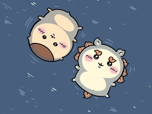 Profile image of 시사