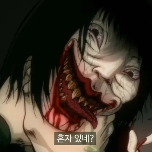 StupidForte8652의 인형