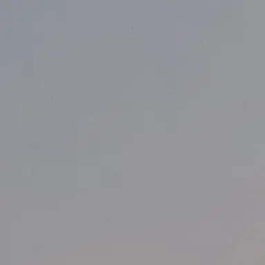 Profile image of 永瀬廉