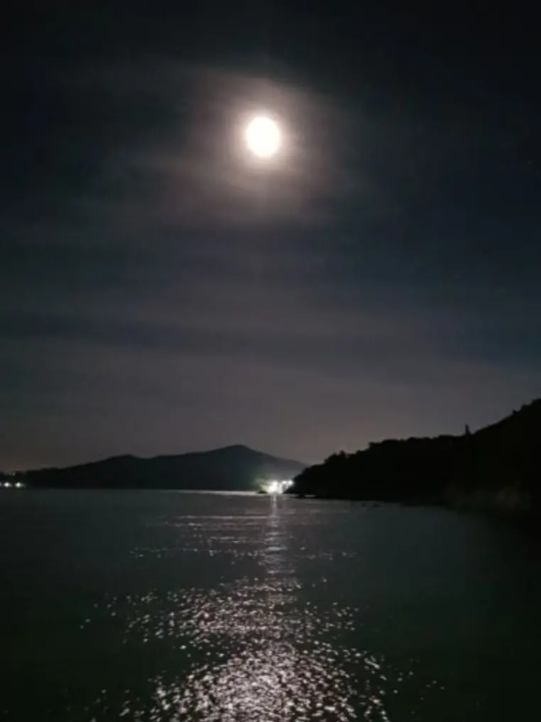 likeoceanfish의 루, 루나아라?! 아, 아니야..!!