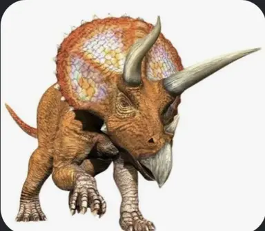 Profile image of Max Taylor