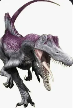 Profile image of Zander