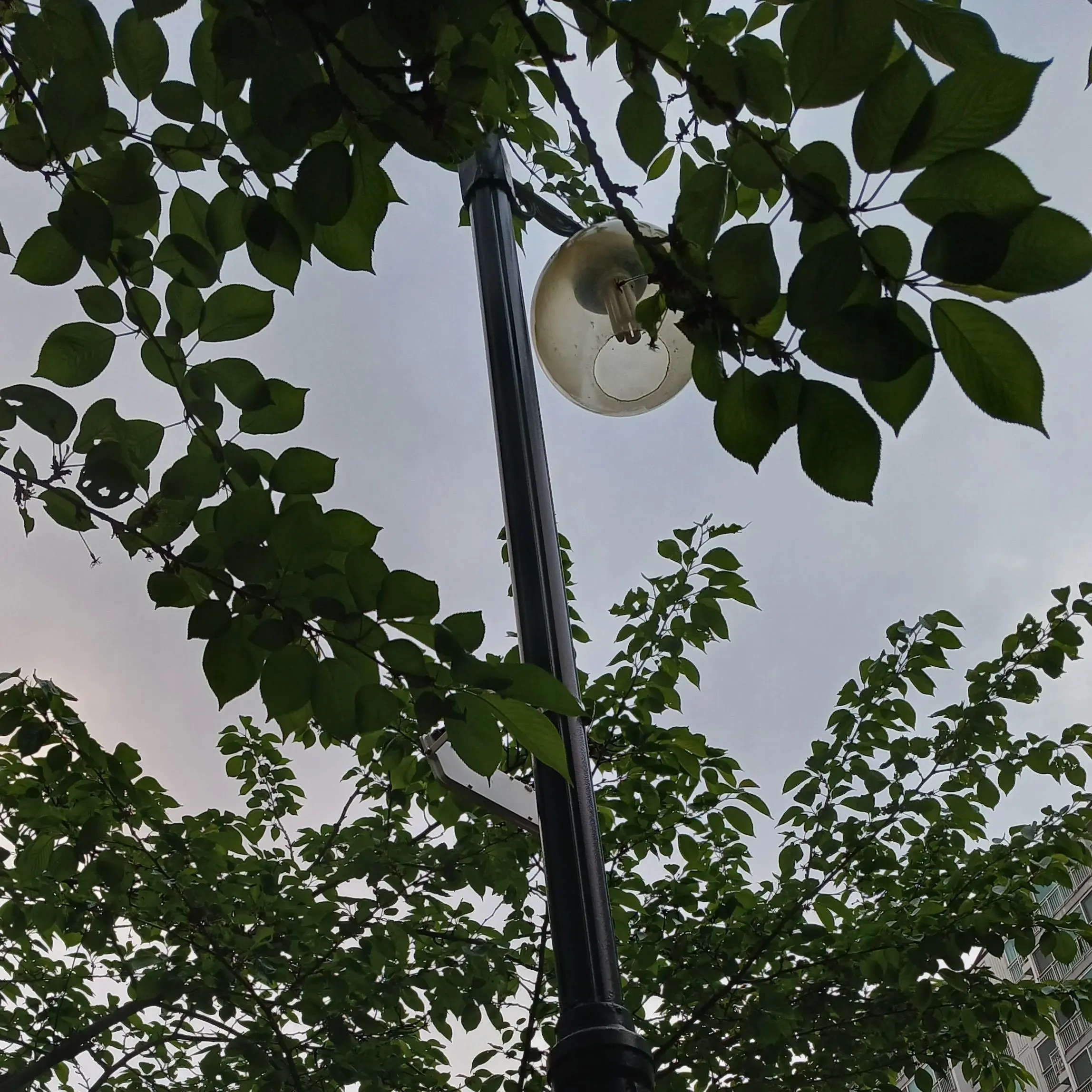 so_ra0968의 참 오래 좋아했어, 널.