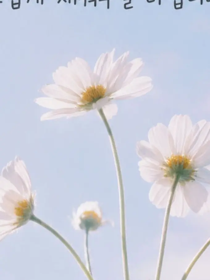 3929291의 미안해...미안해...