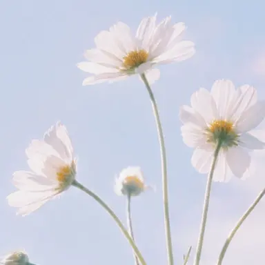 Profile image of 박잠뜰
