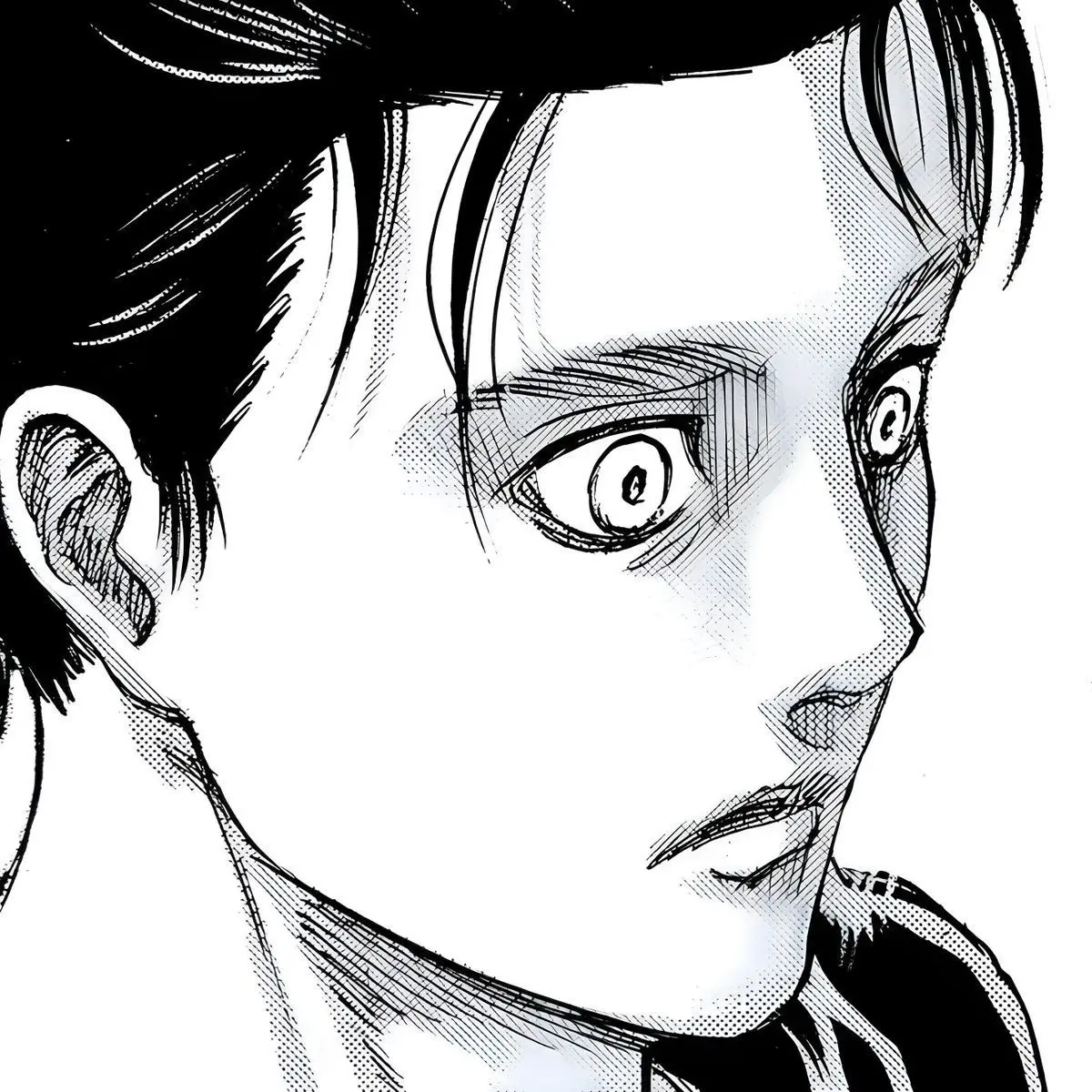 eren.love.139의 에렌 예거