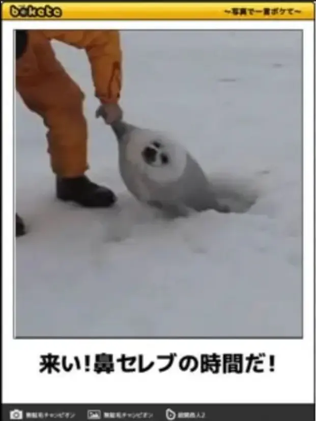 29SK의 いじめられっ子は。「天才魔法使い」