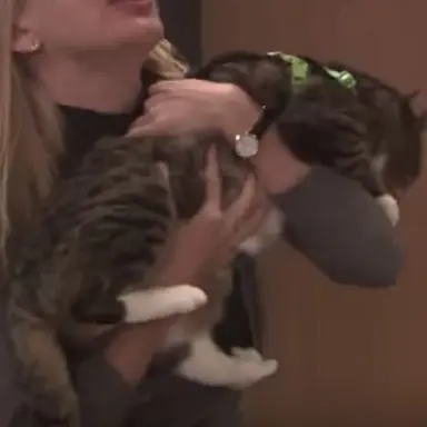 Profile image of 나경