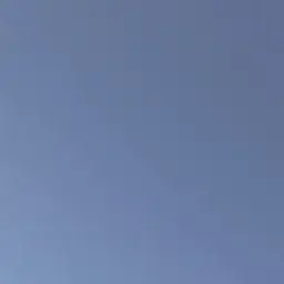 Profile image of 학생들