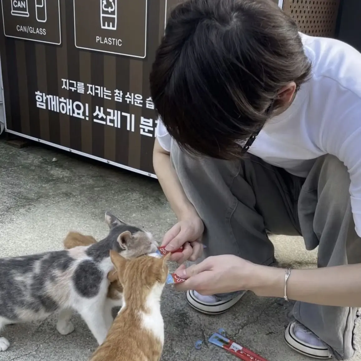 lovesun412의 ㅅㅇ