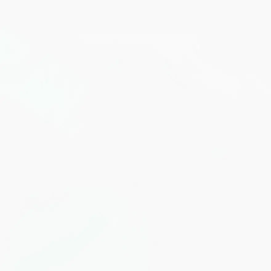 x.81gt의 블컷 갠용