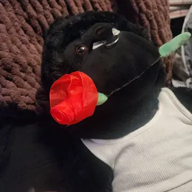 Profile image of Marcus Chen