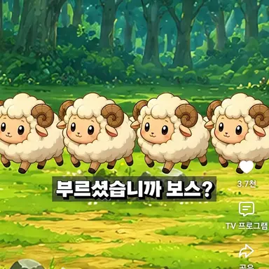 Profile image of 양들