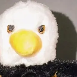 Profile image of 陽斗