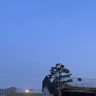 Profile image of 李弘暐