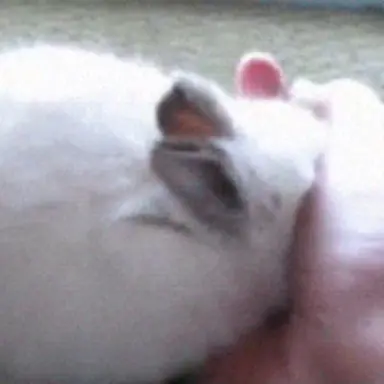 Profile image of 서성은