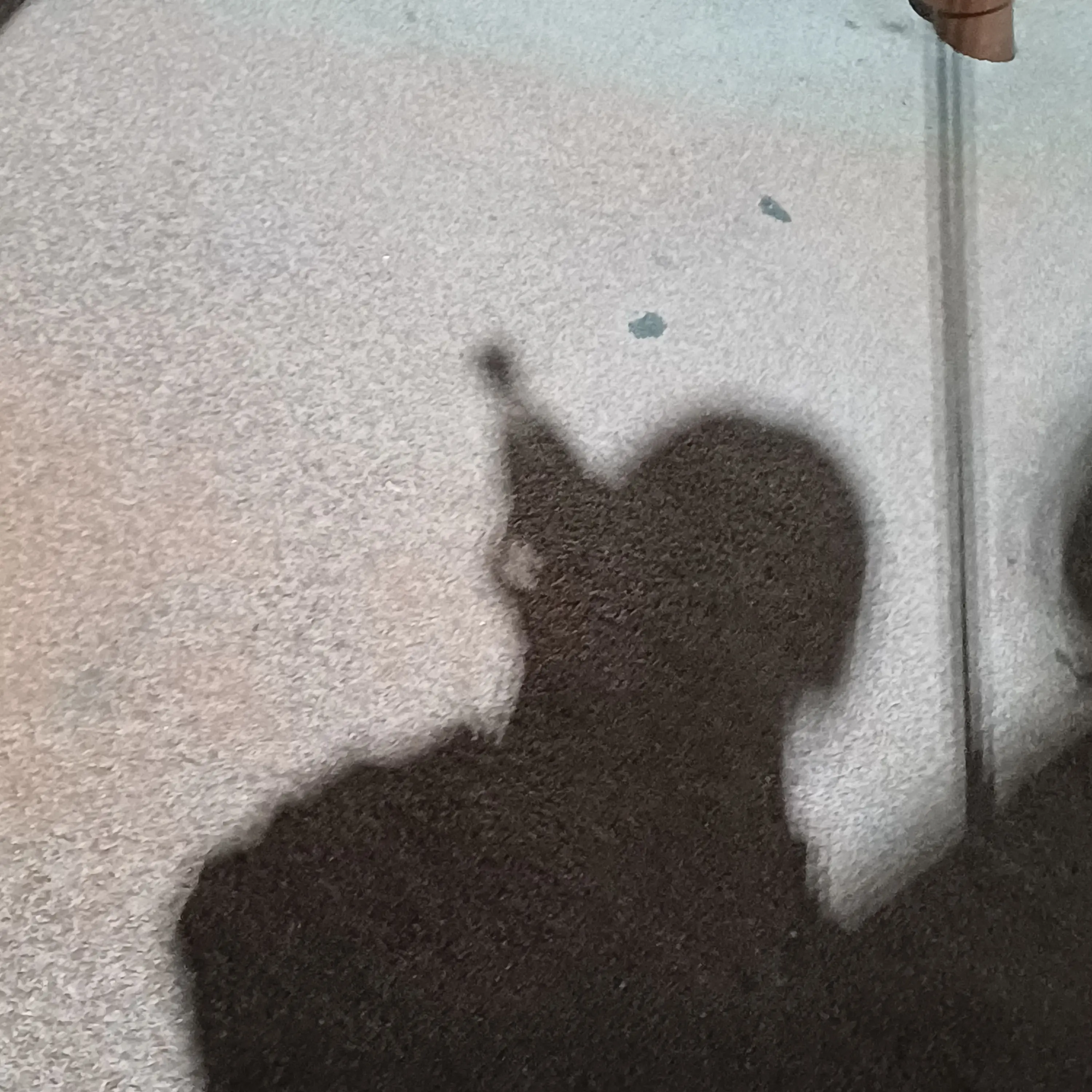 DirectBike6503의 가족같은 관계