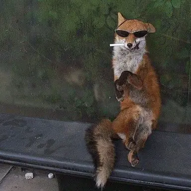 Profile image of ヨ・ウヨン