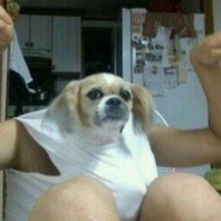 지지지유유유