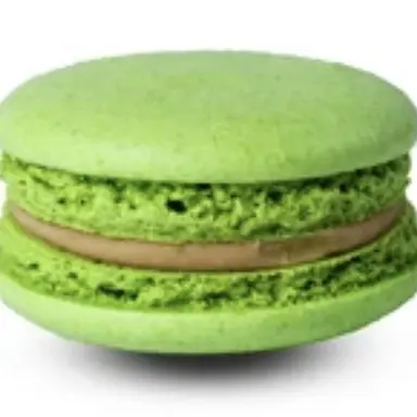 Profile image of 공룡