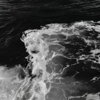 Profile image of Junseo