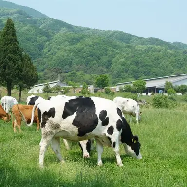 Profile image of 여성 소들