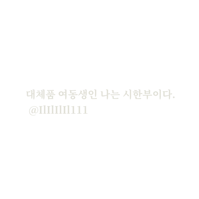 신정
