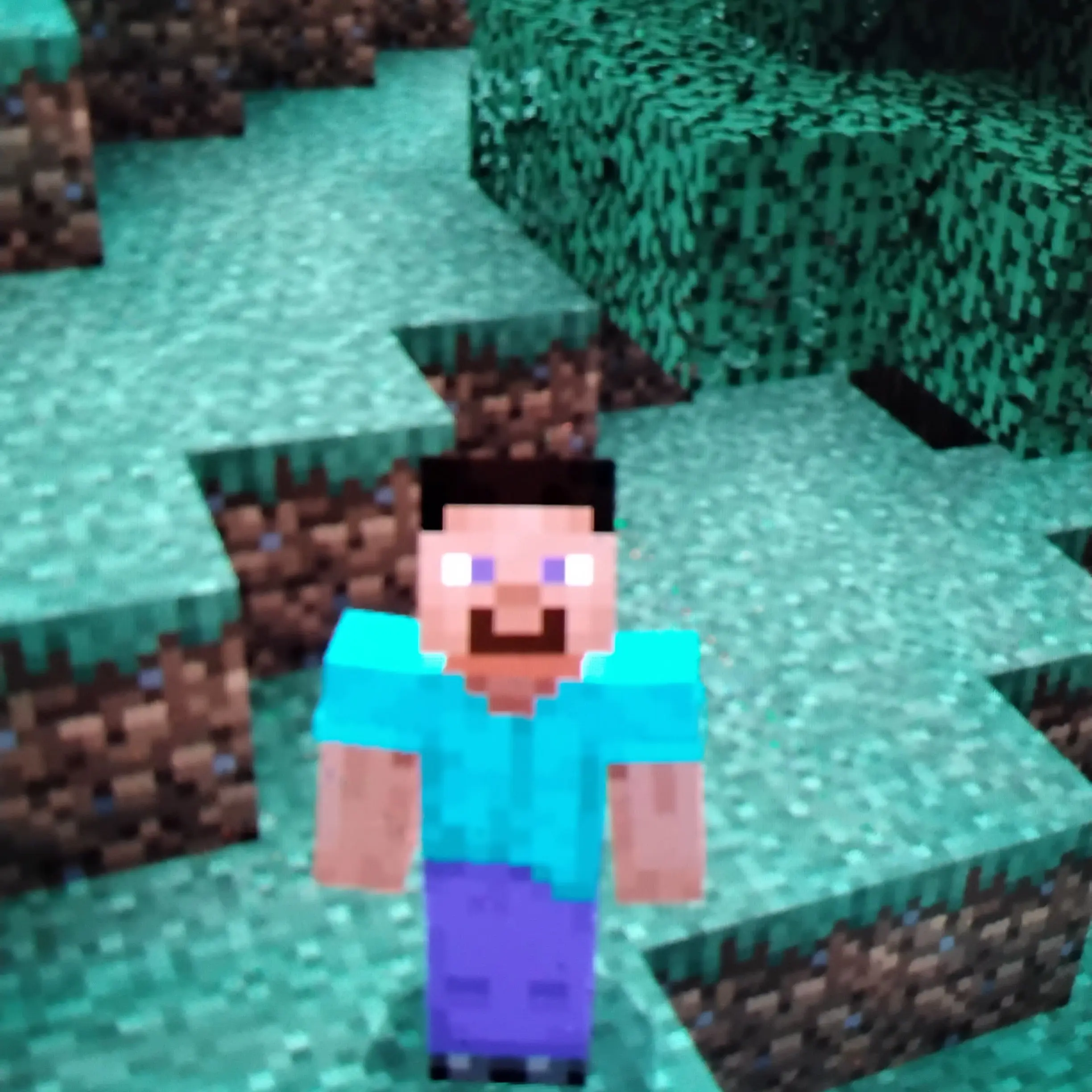 HighEel7631의 스티브 (잼민이) 2편